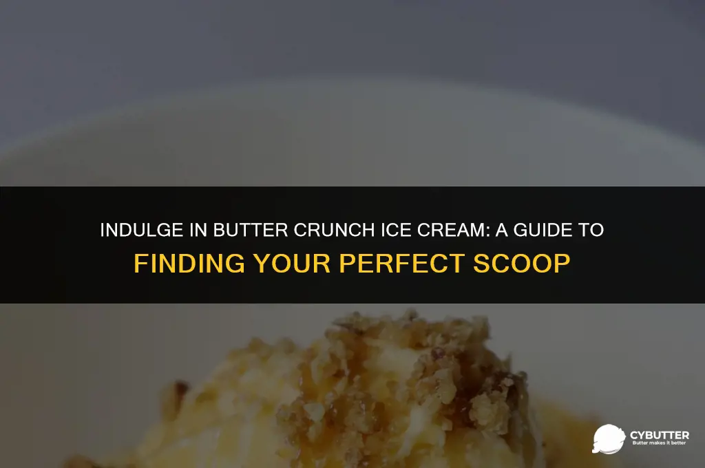 where can i buy butter crunch ice cream