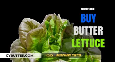 Fresh and Crispy: Your Guide to Finding the Best Butter Lettuce