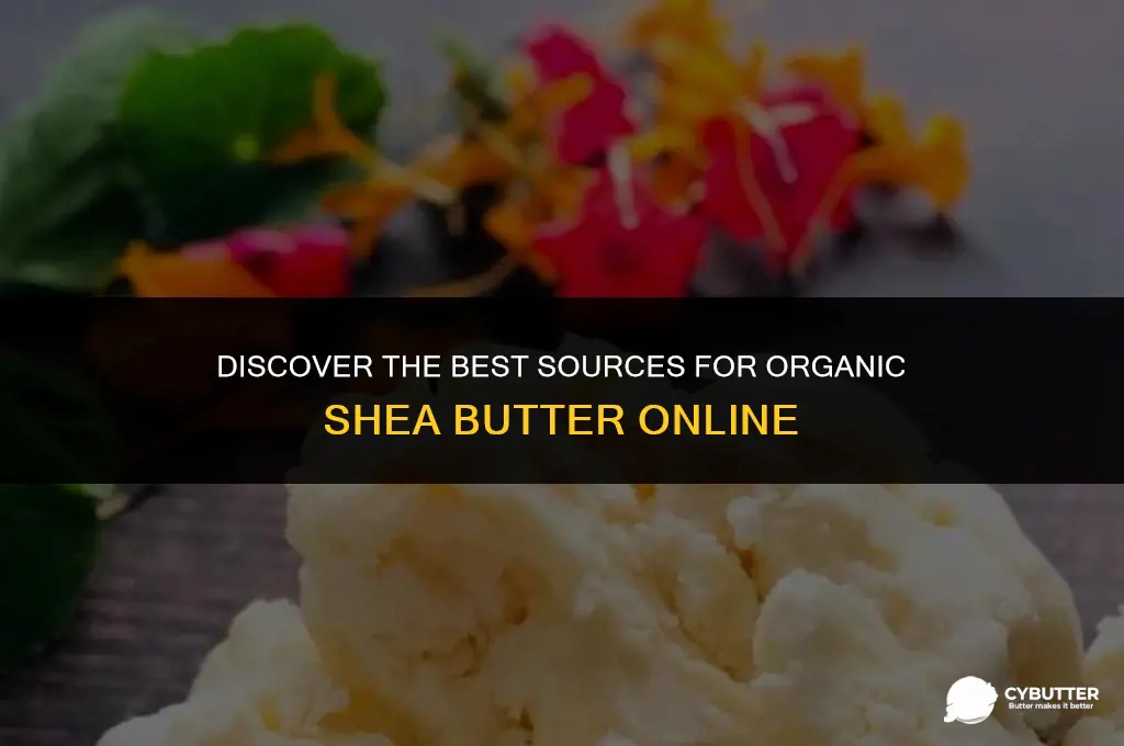 where can i buy organic shea butter