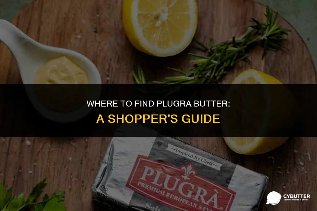 where can i buy plugra butter