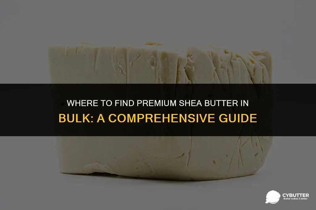 where can i buy shea butter in bulk