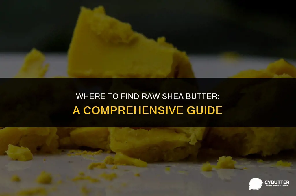 where can i buy shea butter raw