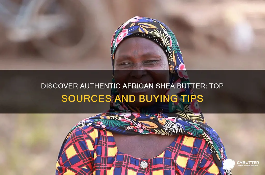 where can i get african shea butter