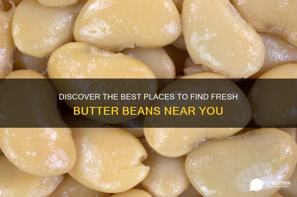 where can i get butter beans