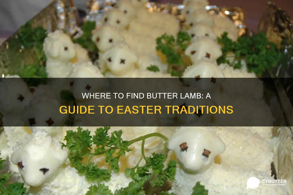 where can i get butter lamb