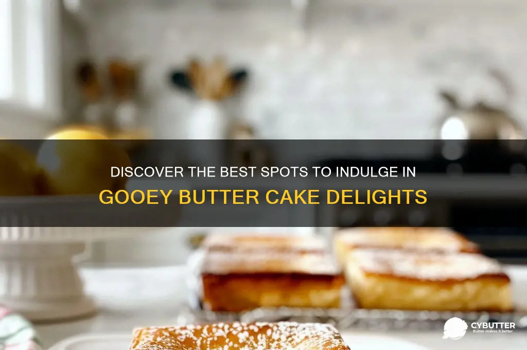 where can i get gooey butter cake