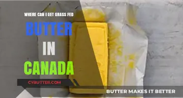 Where to Buy Grass-Fed Butter in Canada: Top Sources