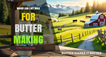 Best Sources for Fresh Milk to Make Homemade Butter Easily