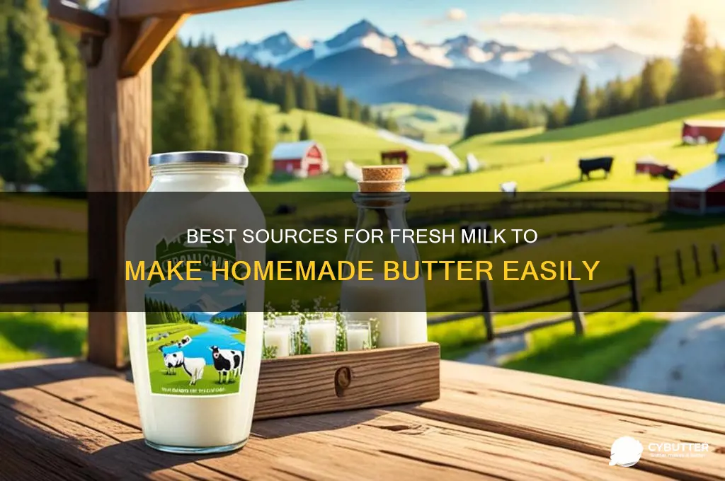where can i get milk for butter making