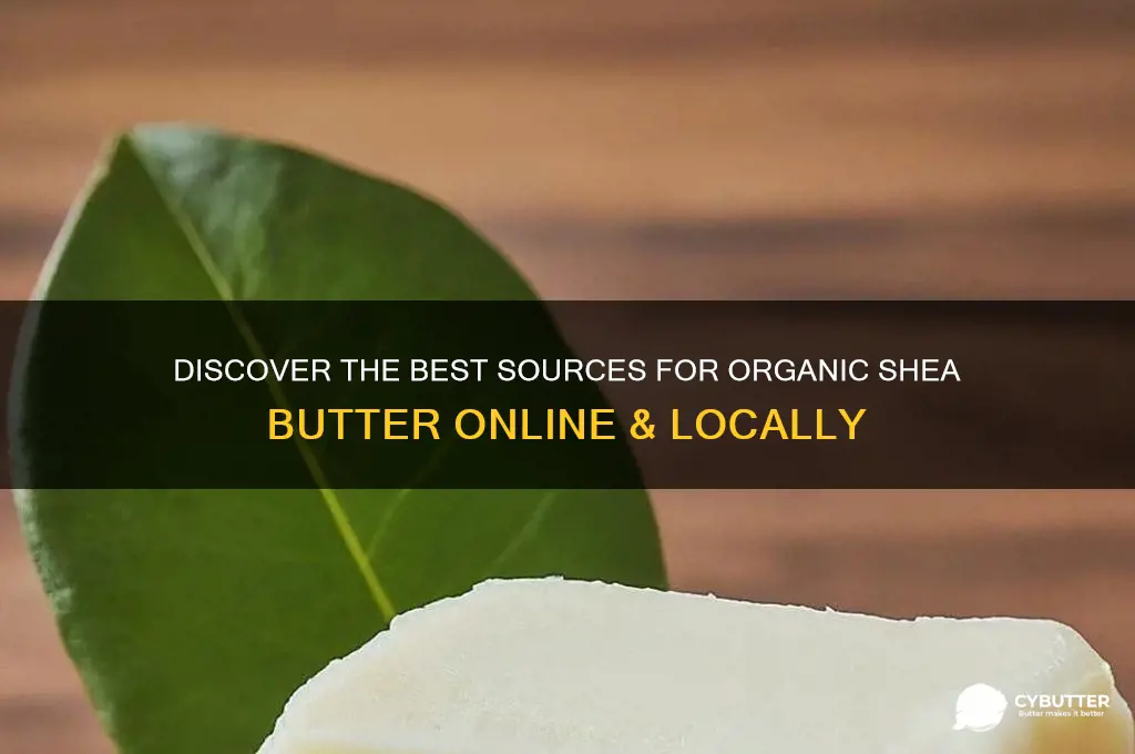 where can i get organic shea butter