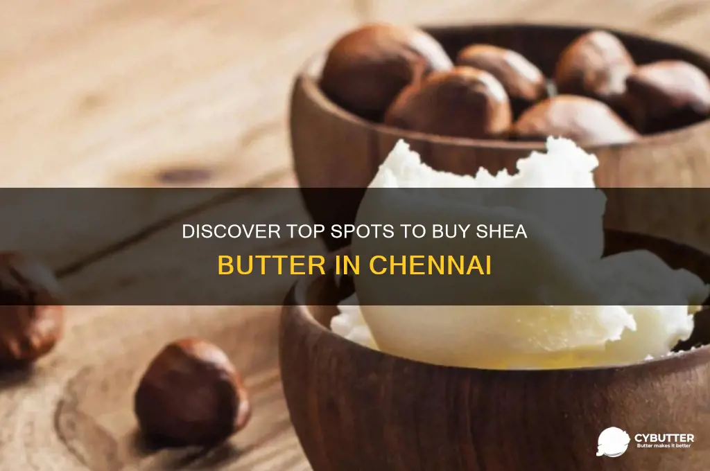 where can i get shea butter in chennai