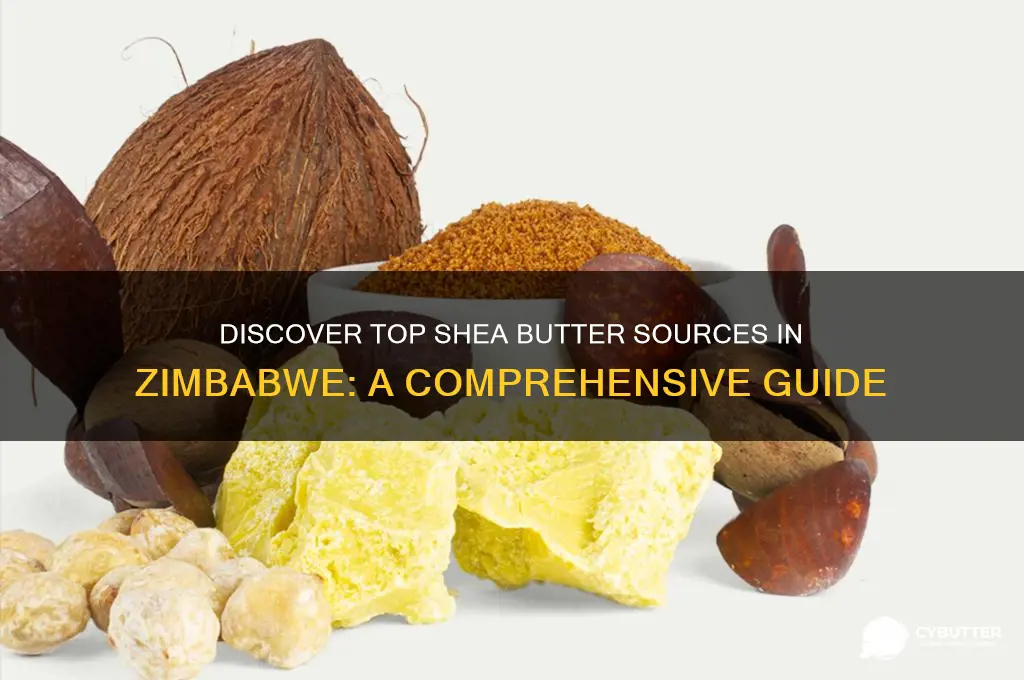 where can i get shea butter in zimbabwe