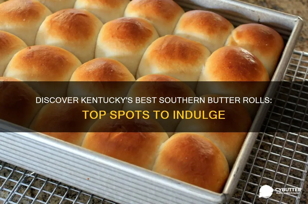 where can i get southern butter rolls in kentucky