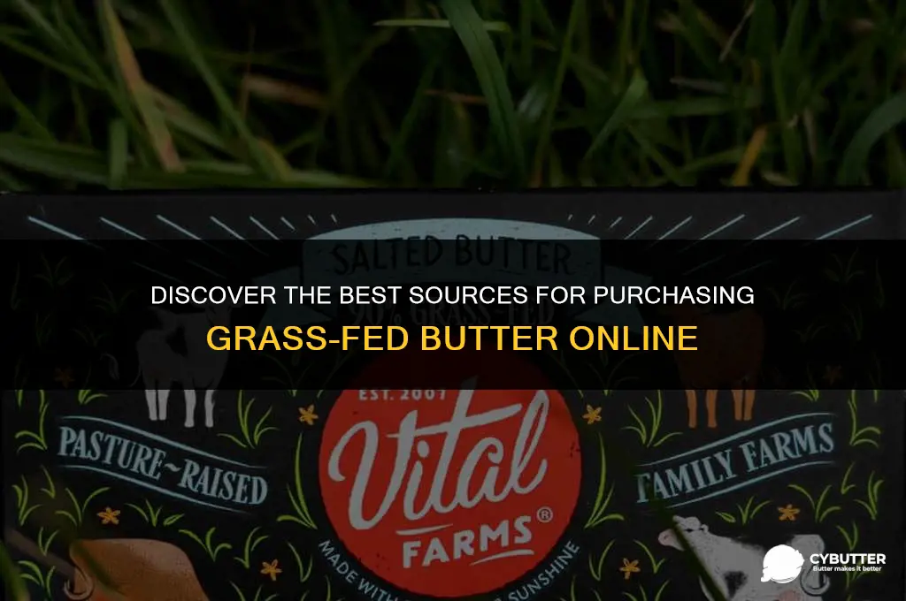 where can you buy grass fed butter