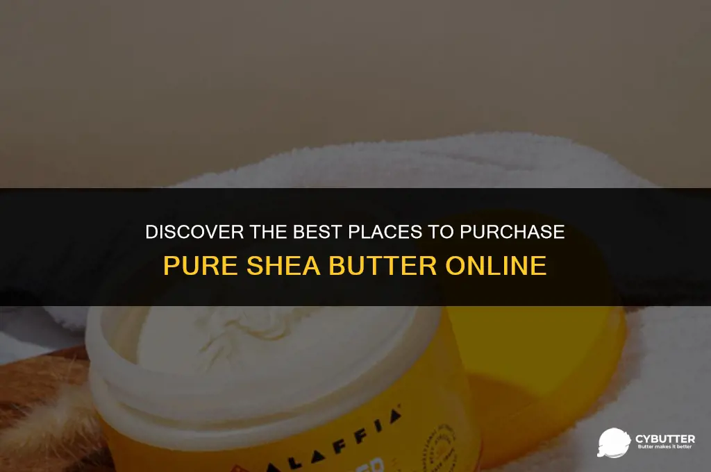 where can you buy shea butter