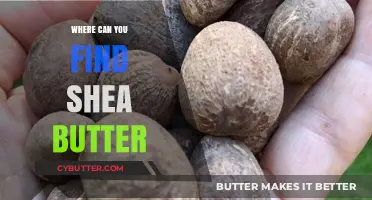 Discovering Nature's Moisturizer: Where to Find Shea Butter