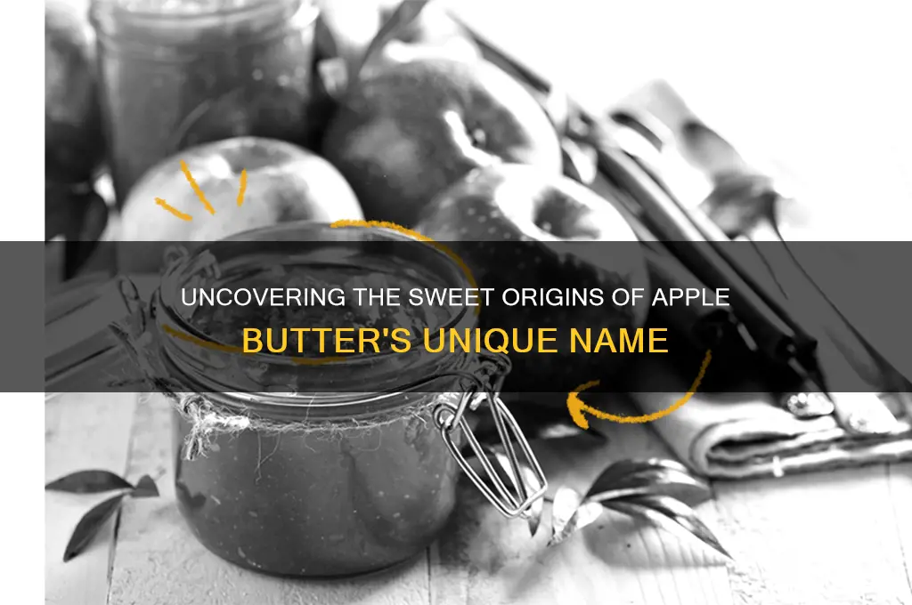 where did apple butter get its name