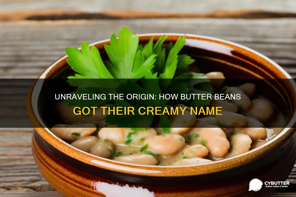 where do butter beans get their name