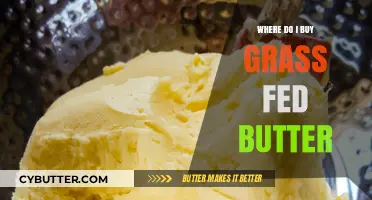Where to Find the Best Grass-Fed Butter: A Comprehensive Guide