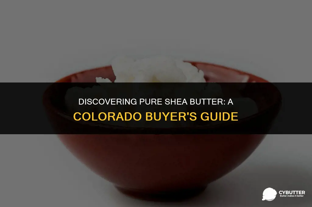 where do i buy pure shea butter in colorado