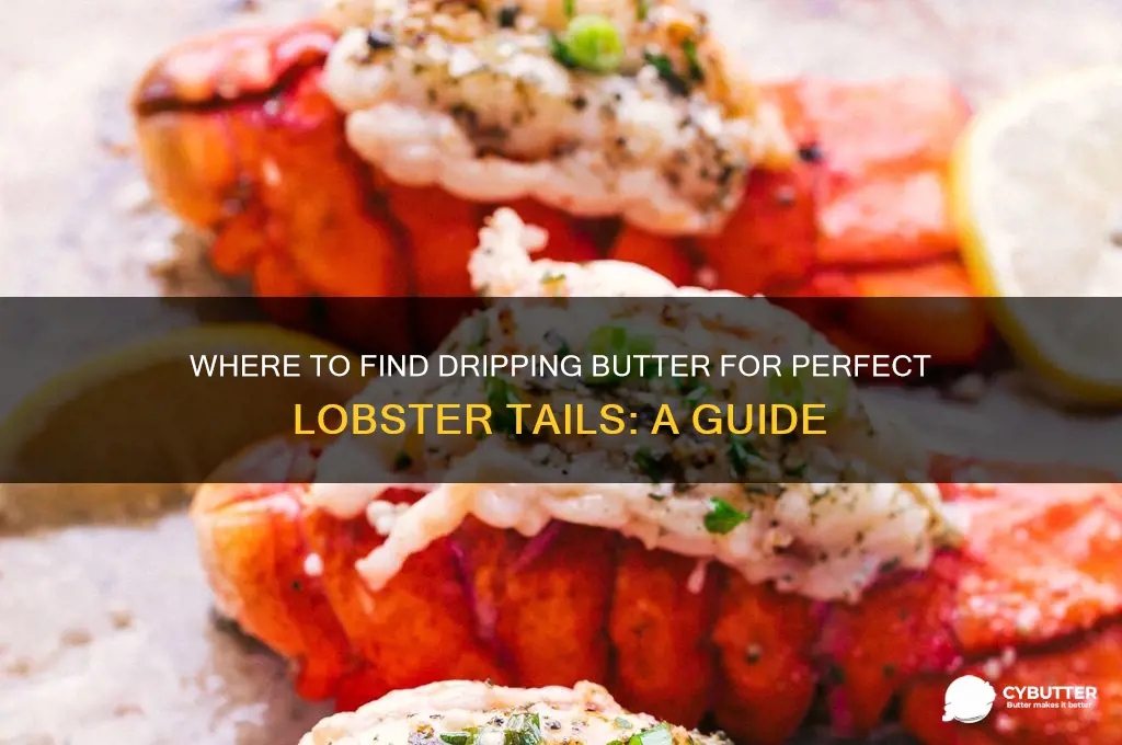 where do i get dripping butter for lobster tails
