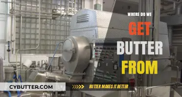 From Cow to Table: The Surprising Journey of Butter's Origins