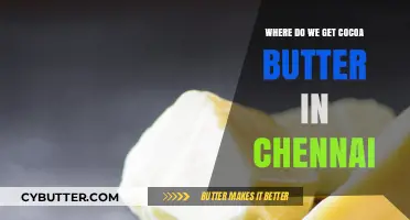 Discovering Chennai's Best Sources for Premium Cocoa Butter