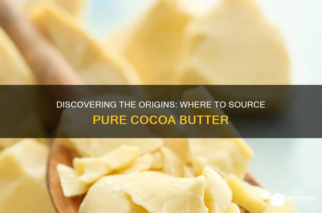 where do you get cocoa butter