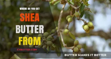 Discovering Shea Butter's Origins: A Journey from Tree to Beauty Essential