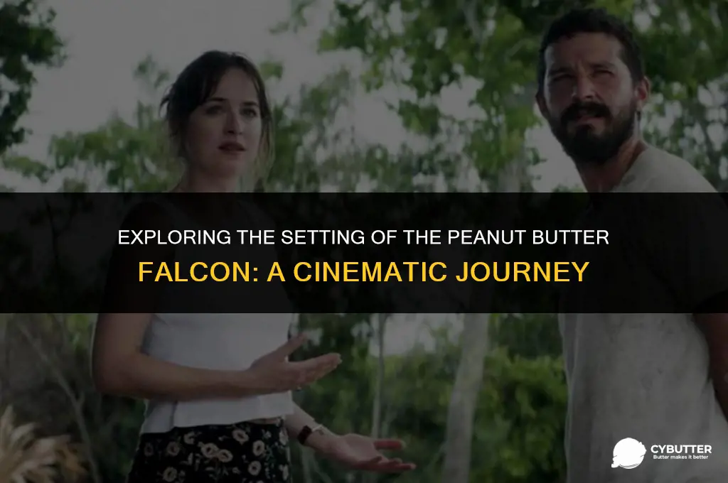 where does peanut butter falcon take place