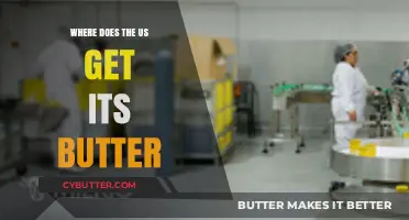 Where Does the US Get Its Butter: A Dairy Supply Chain Overview