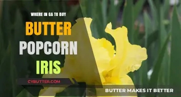 Discover the Best Spots in Georgia for Butter Popcorn Iris