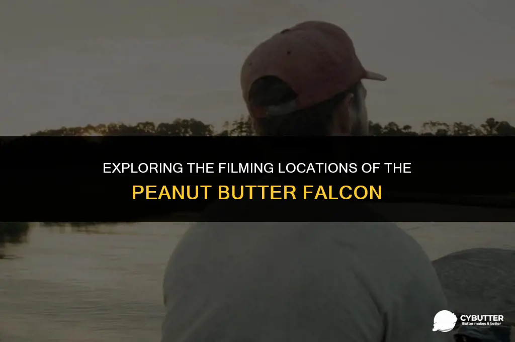 where is peanut butter falcon filmed