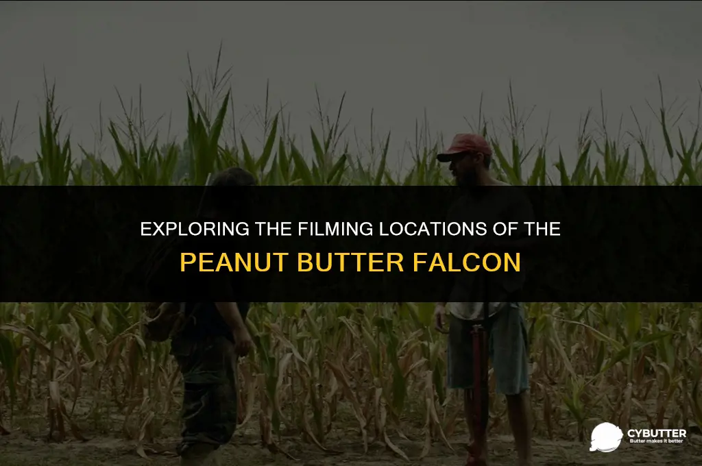 where is the peanut butter falcon set