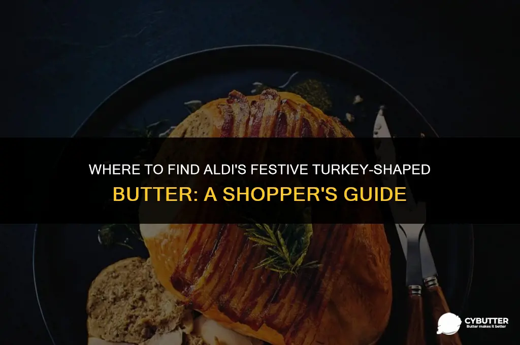 where to buy aldi turkey shaped butter