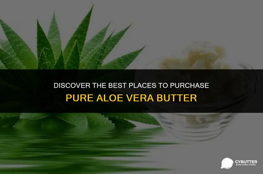 where to buy aloe vera butter