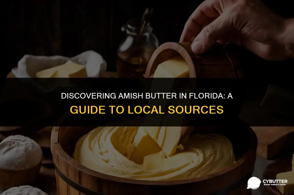 where to buy amish butter in florida