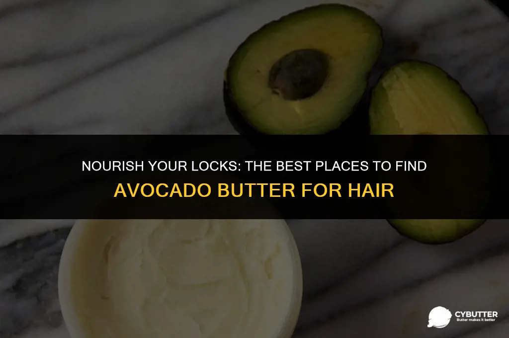 where to buy avocado butter for hair