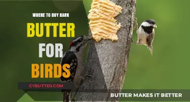 Where to Find Bark Butter for Your Feathered Friends