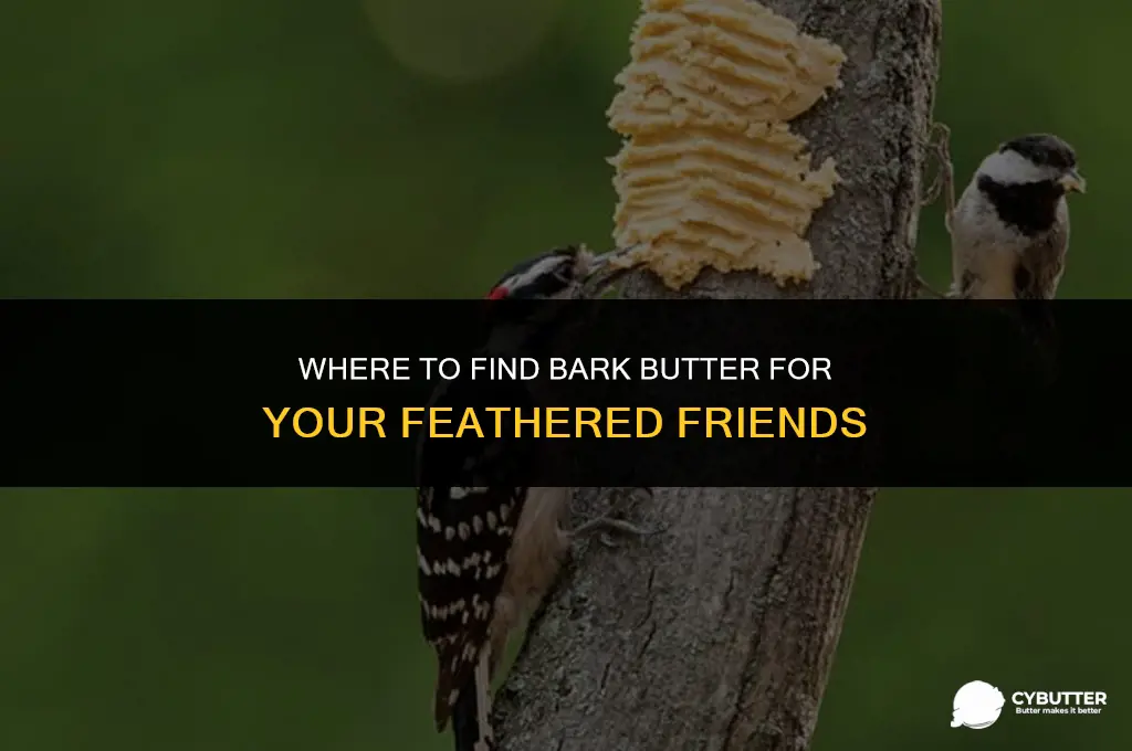 where to buy bark butter for birds