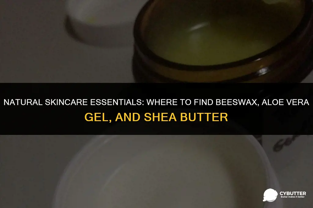 where to buy beeswax aloe vera jell and shea butter