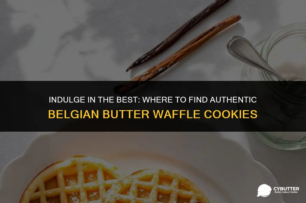 where to buy belgian butter waffle cookies