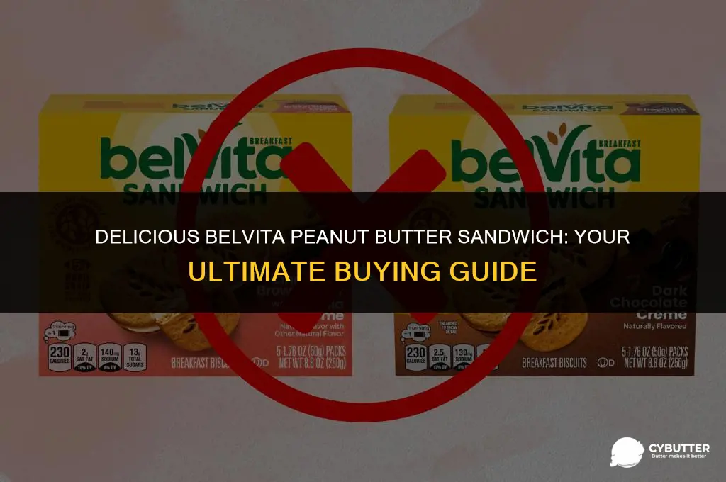 where to buy belvita peanut butter sandwich