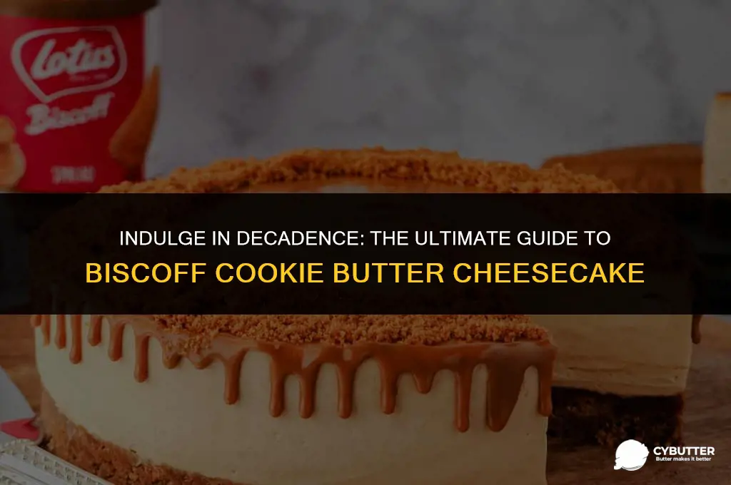 where to buy biscoff cookie butter cheesecake