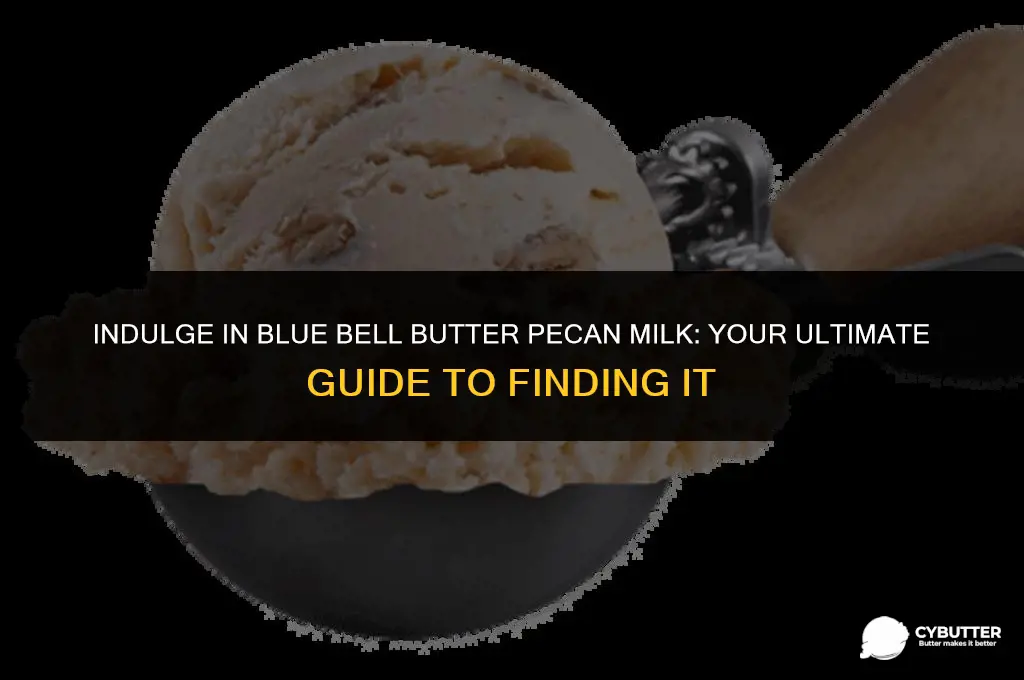 where to buy blue bell butter pecan milk