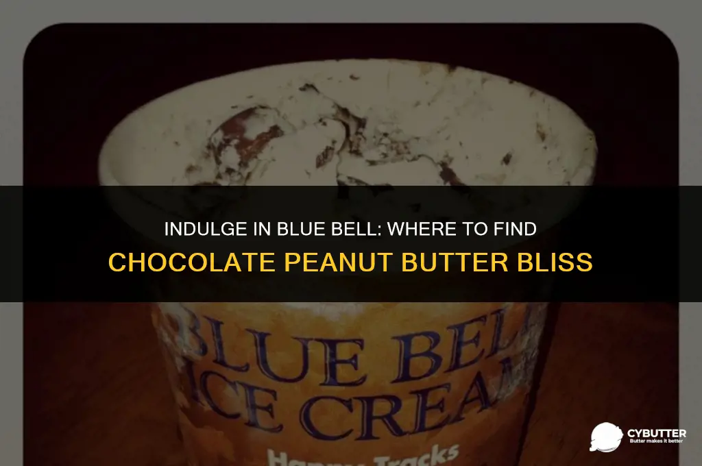 where to buy blue bell chocolate peanut butter ice cream