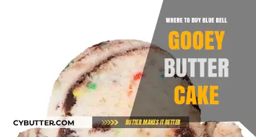 Indulge in Decadence: Where to Find Blue Bell Gooey Butter Cake