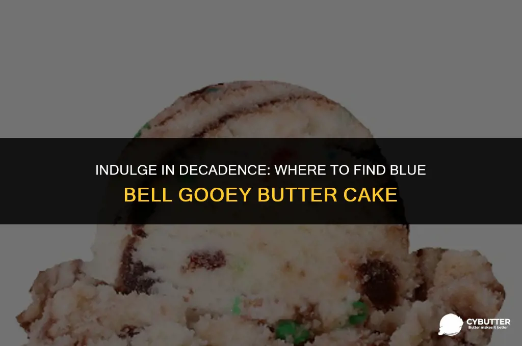 where to buy blue bell gooey butter cake