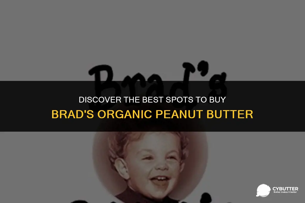 where to buy brad