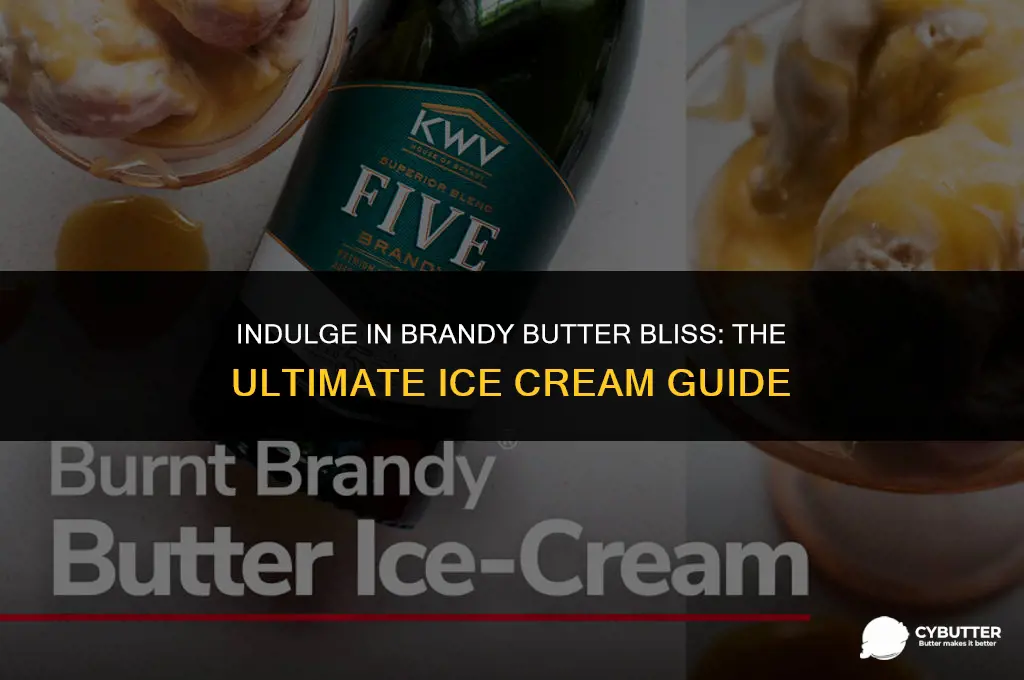 where to buy brandy butter ice cream